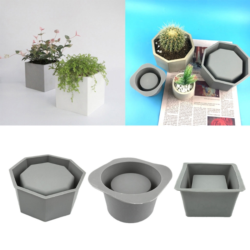 Handgemaakte Sappige Planter B - Echeveria Succulent recensie en prijs